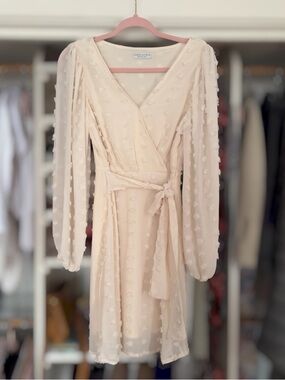 Textured Dot Long Sleeve Dress